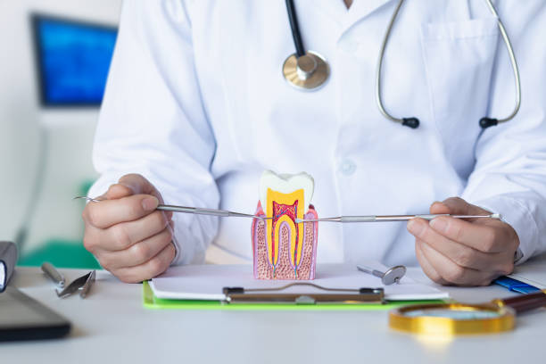 Best Emergency Dental Care for Broken or Chipped Teeth in Palm Coast, FL